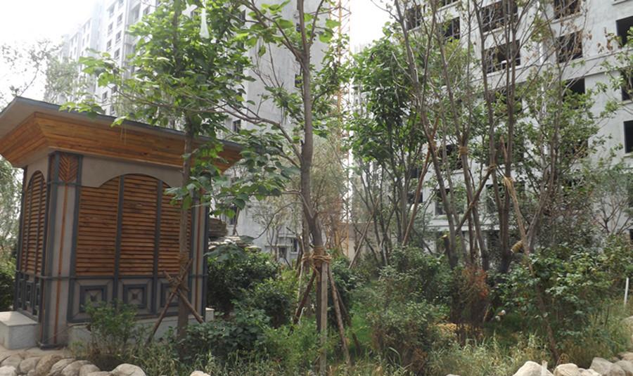富华逸墅最新消息深度解析