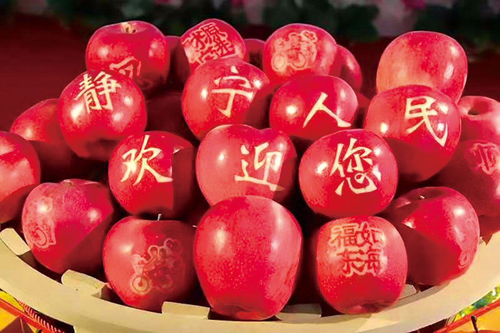 甘肃省静宁县房价最新动态分析